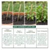 Customized Plantable Pens