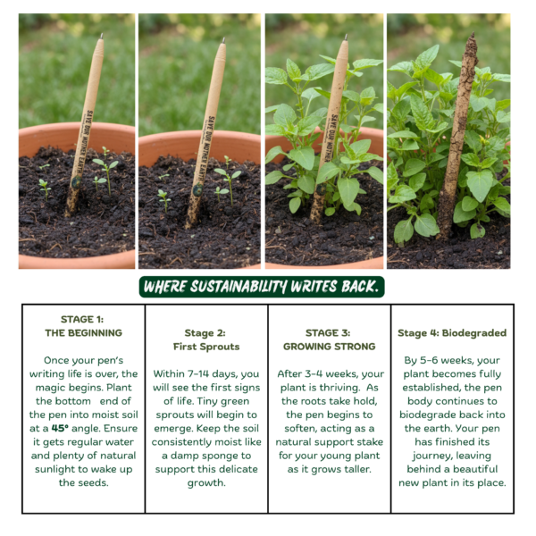 Save Rainforest Theme -  Creator Eco Friendly Plantable Pens