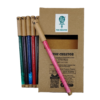 Rainbow Theme -  Creator Eco Friendly Plantable Pens