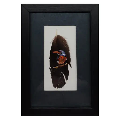 Kingfisher1
