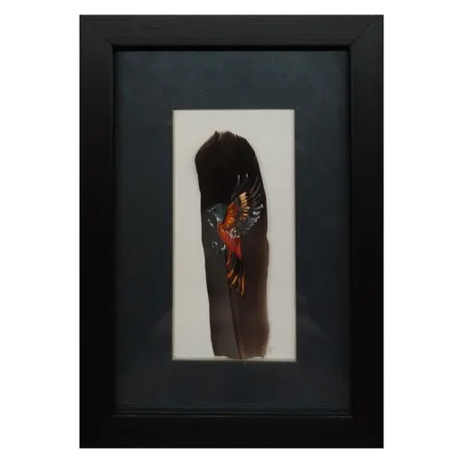 Baltimore Oriole