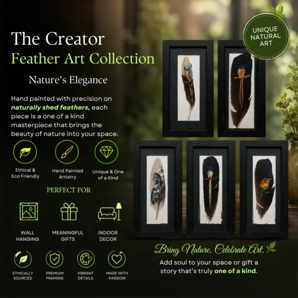 Hand Painted Feather Art –Eco Friendly Sustainable Gift–   Framed Miniature Painting  by The Creator